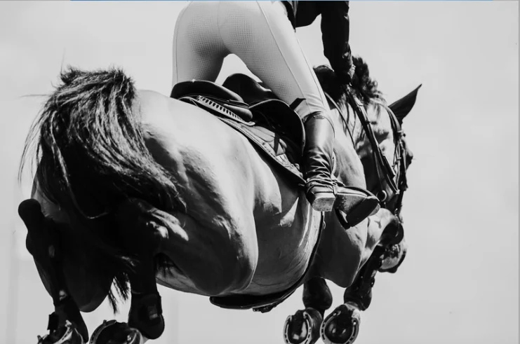 Equestrian sport and sustainable development